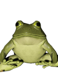 Thumbnail for File:Frog vertical psd.png