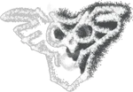 Thumbnail for File:Rank oracle chalkboard old.webp