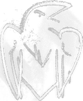 Thumbnail for File:Rank07 chalk.webp
