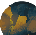 Dynamo select background